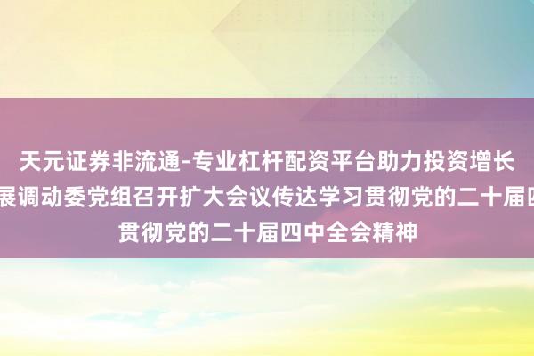 天元证券非流通-专业杠杆配资平台助力投资增长 中共国度发展调动委党组召开扩大会议传达学习贯彻党的二十届四中全会精神