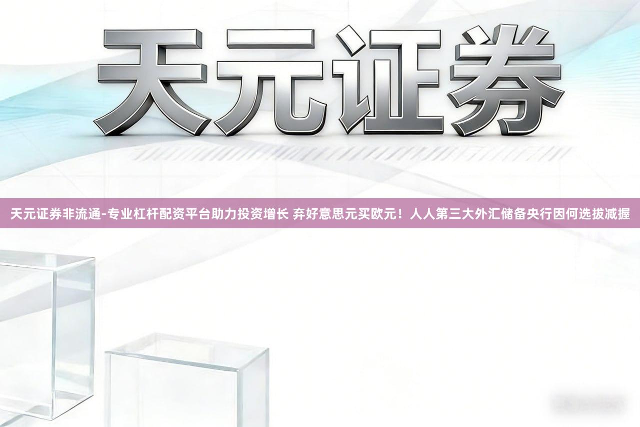 天元证券非流通-专业杠杆配资平台助力投资增长 弃好意思元买欧元！人人第三大外汇储备央行因何选拔减握